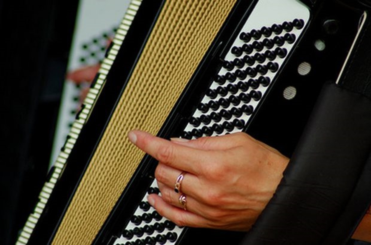 acordeon