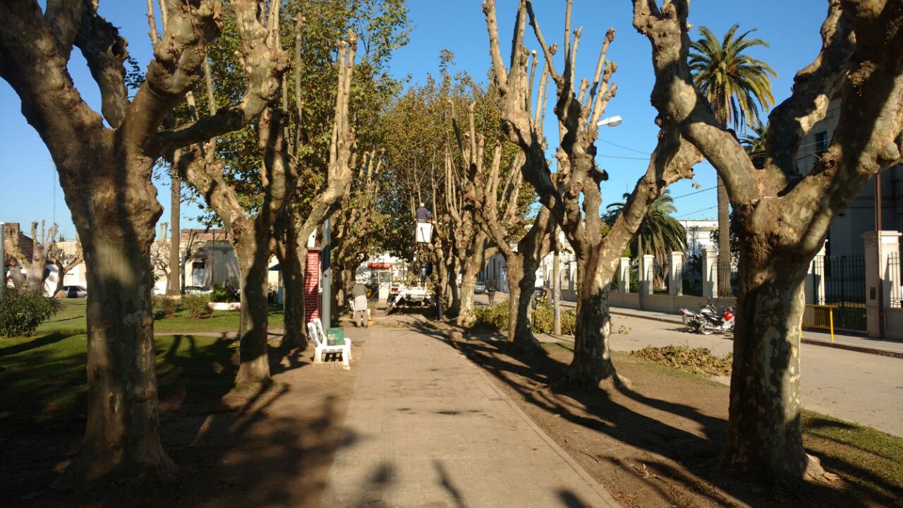 plaza moreno