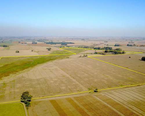 hectareasdecampo