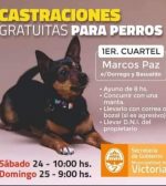 Fin de semana: castraciones gratuitas para perros en el Primer Cuartel