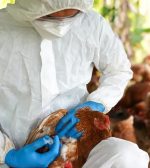 Destacaron el rápido accionar conjunto de la provincia y el Senasa para contener el foco de gripe aviar