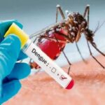 Qué son las coinfecciones del virus del dengue y qué riesgo tienen