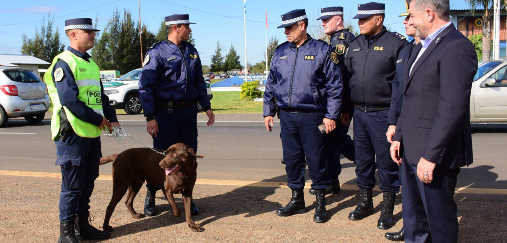 Policiales