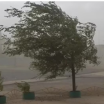 Emitieron alerta amarilla por vientos fuertes para este miércoles