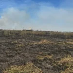 Incendios en Santa Fe: “Son 1500 hectáreas afectadas”