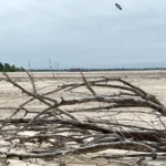 El río Paraná está tan bajo que se puede cruzar a pie entre las islas