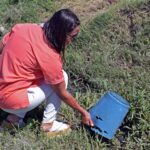 Ante las lluvias, instan a extremar las medidas preventivas para combatir al dengue