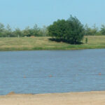 Mejora el tiempo y anuncian una ola de calor a fin de año: prevén hasta 37°C en Entre Ríos