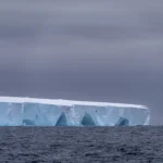 El iceberg más grande del mundo se desprendió y navega por el océano: qué impacto tendrá