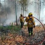 Se decretó la Emergencia Ambiental para combatir incendios