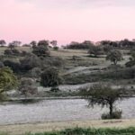 El frío polar se siente en Entre Ríos: en una zona se registró -0.9°C este jueves