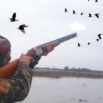 Entre Ríos habilita la temporada de caza menor 2025 con menos especies, mayores restricciones y sustento científico