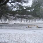 Llegó el frío polar: Entre Ríos inició la semana con una sensación térmica de hasta -2.8°C