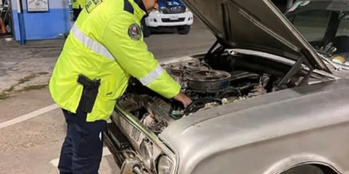 Policiales
