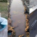Entre Ríos bajo cero: el frío polar congeló charcos, bebederos, estanques y otros recipientes