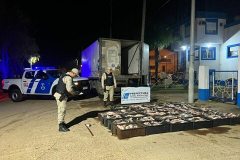Decomisaron más de una tonelada de pescados por un valor de cinco millones de pesos