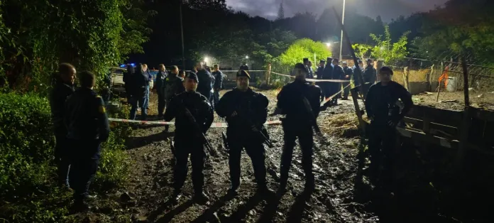 Policiales