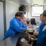 Avanza la campaña de esterilización animal en Victoria