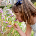 Mañana jueves, celebración de la Primavera en el Primer Cuartel.