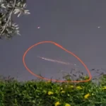 Qué es el extraño bólido que sorprendió a Entre Ríos, Santa Fe y Córdoba: mirá el video