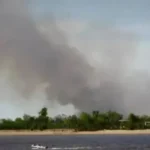 Se volvieron a registrar incendios en las islas del Delta de Paraná frente a Rosario