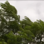 Tiempo en Entre Ríos: tras las lluvias, emiten un alerta amarillo por viento para la región