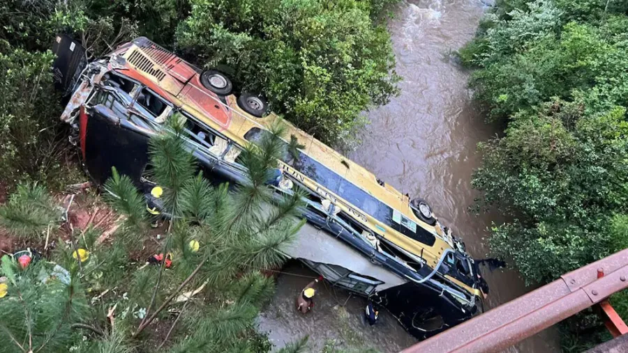 Tragedia en Misiones: un colectivo embistió a un auto, cayó a un arroyo y dejó al menos 8 muertos Policiales