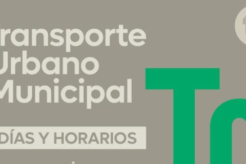SE NORMALIZA EL SERVICIO DEL TRANSPORTE URBANO MUNICIPAL