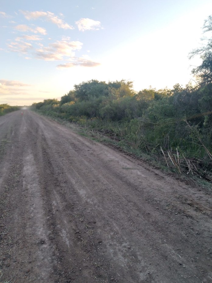 Entre Ríos: encontraron un “cráneo incompleto y otros posibles huesos humanos” Policiales