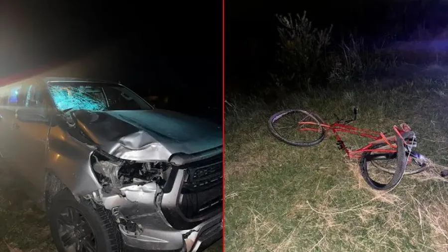 Tragedia en la Ruta 11: un ciclista perdió la vida al ser colisionado por una camioneta Policiales