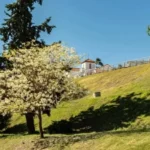 Anuncian un martes soleado y con 31°C en Entre Ríos: cuándo vuelven las lluvias