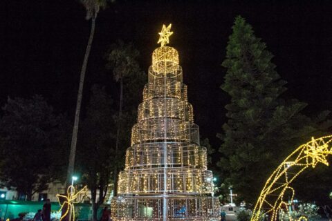 Victoria celebró el tradicional encendido del arbolito de Navidad