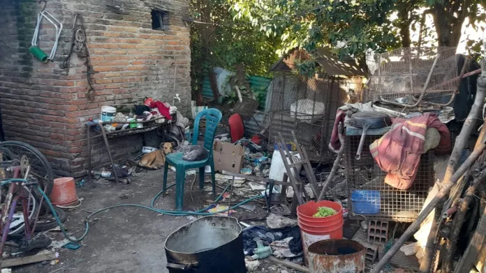 Allanan una casa en Entre Ríos y encuentran más de 30 animales en mal estado Policiales
