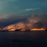 La Corte condenó a Buenos Aires, Entre Ríos y Santa Fe por los incendios en zona de Islas de Victoria y Rosario