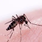 Alertan por dos casos sospechosos de dengue en el hospital de Concepción del Uruguay