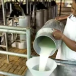 Se estancó el precio por litro que reciben los tamberos y preocupa al sector