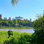 Suben las temperaturas: anuncian hasta 30°C este miércoles en Entre Ríos