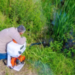 Barigüí, cómo evitar los ataques del insecto que muerde y aparece cerca del agua en verano