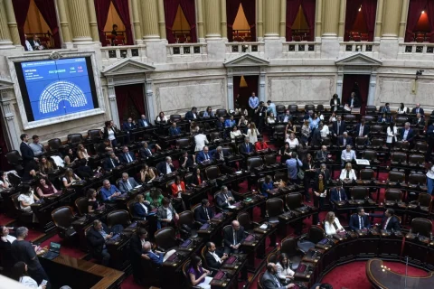 Régimen Penal Juvenil y Acuerdo Mercosur-Unión Europea: oficializaron la sesión para el jueves en Diputados