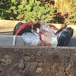 INDIGNACIÓN EN VICTORIA: DESTRUYERON LA ESCULTURA DE MAFALDA EN EL BOULEVARD