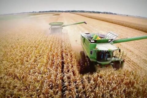 La actividad en cada sector: ganadores y perdedores del segundo año de gestión de Milei