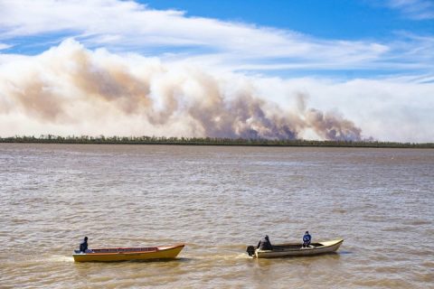 ALERTA MÁXIMA EN EL DELTA: EL HUMEDAL ES LA ZONA MÁS CRÍTICA POR INCENDIOS
