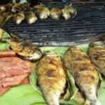 PRE FIESTA DEL SÁBALO Y REGIONALES 2026