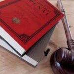 REFORMA DEL CÓDIGO PENAL: INCORPORAN NUEVAS FIGURAS DELICTIVAS Y GENERA DEBATE EL TRATAMIENTO DE LA CORRUPCIÓ