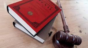 REFORMA DEL CÓDIGO PENAL: INCORPORAN NUEVAS FIGURAS DELICTIVAS Y GENERA DEBATE EL TRATAMIENTO DE LA CORRUPCIÓ Opinión