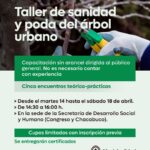 TALLER DE SANIDAD Y PODA DEL ÁRBOL URBANO