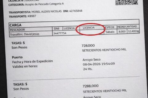 ESCÁNDALO EN LA PESCA: DETECTAN UNA DE TANTAS CARGAS IRREGULARES, ESTÁ FUE DE 11 MIL KILOS, EVIDENTES FALLAS EN LOS CONTROLES