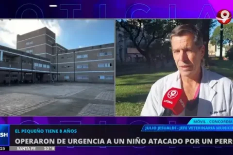 Multarán al dueño del perro que mordió a un nene en Concordia