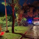 Fuerte temporal afecto a Nogoyá y provocó caída de árboles y daños en techos