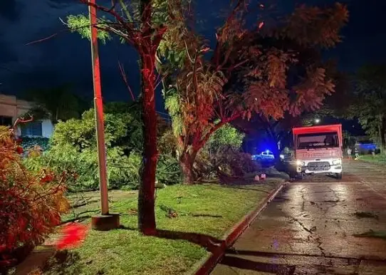 Fuerte temporal afecto a Nogoyá y provocó caída de árboles y daños en techos Ciudad
